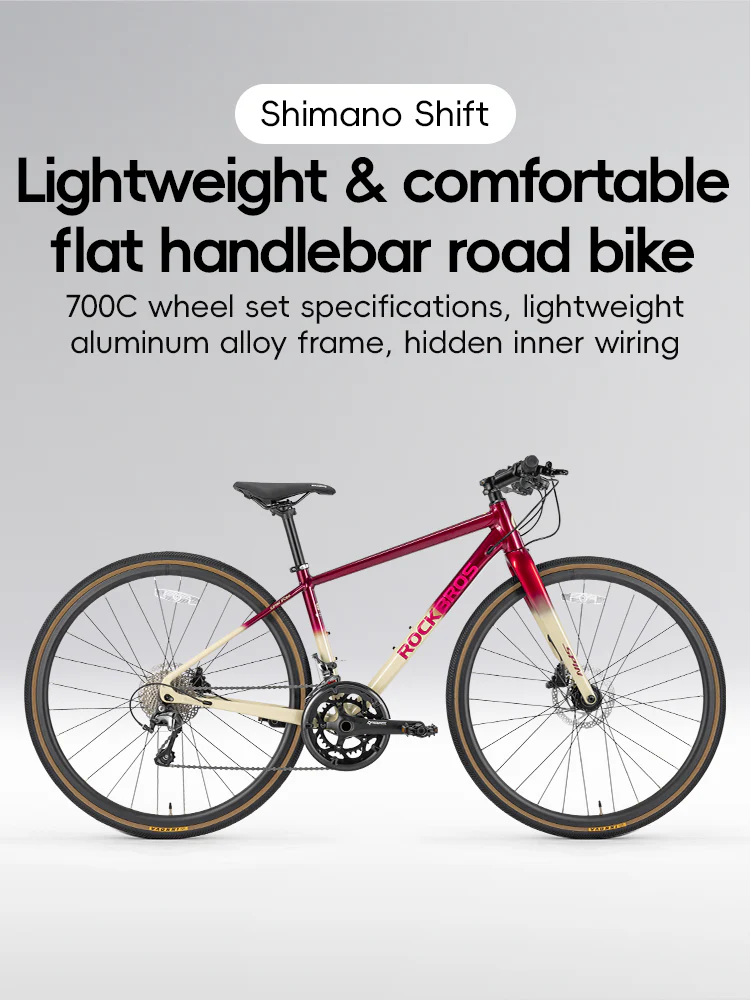 SPIN-P2M Carbon Fiber Fork Aluminum Frame Road Bike - Image 10