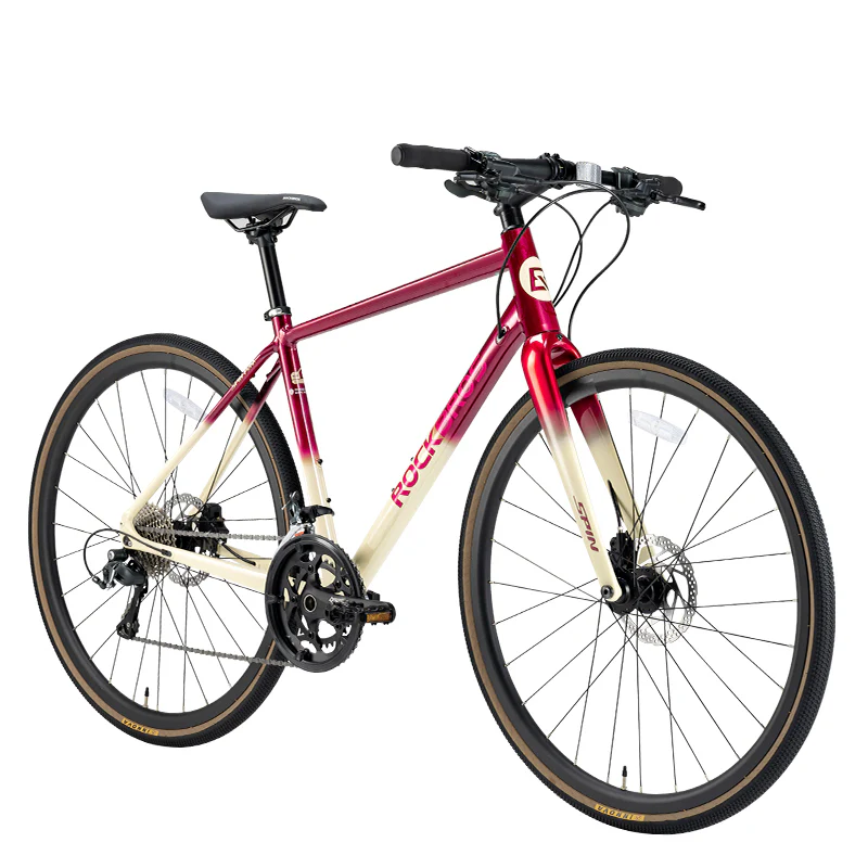 SPIN-P2M Carbon Fiber Fork Aluminum Frame Road Bike - Image 5